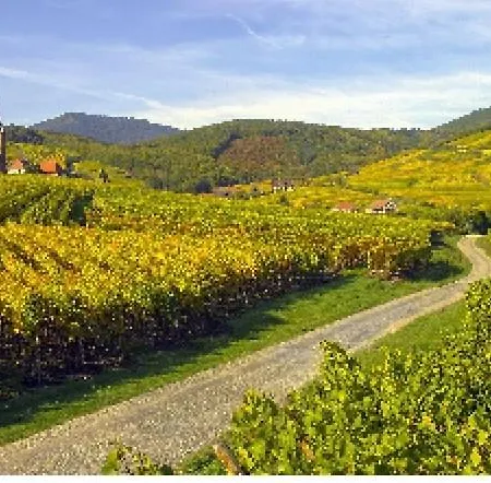 Campingplads Mobil Cosi Climatise Pour 6 - Tohapi